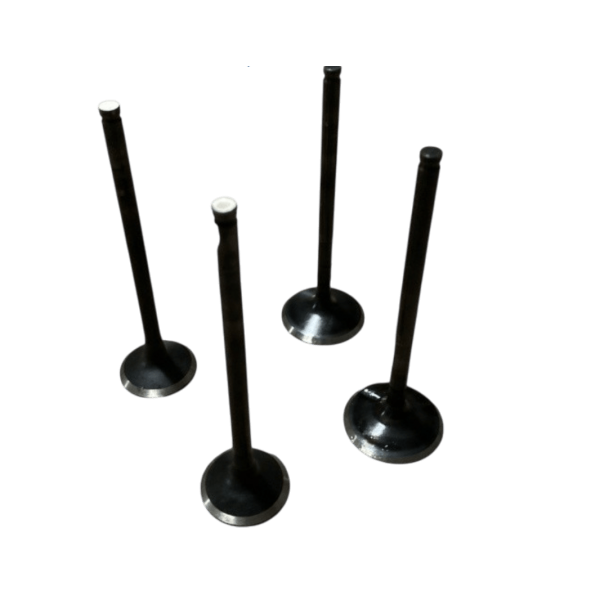 Bajaj Dominar D 250 Supap Takımı 4 Lü DQ